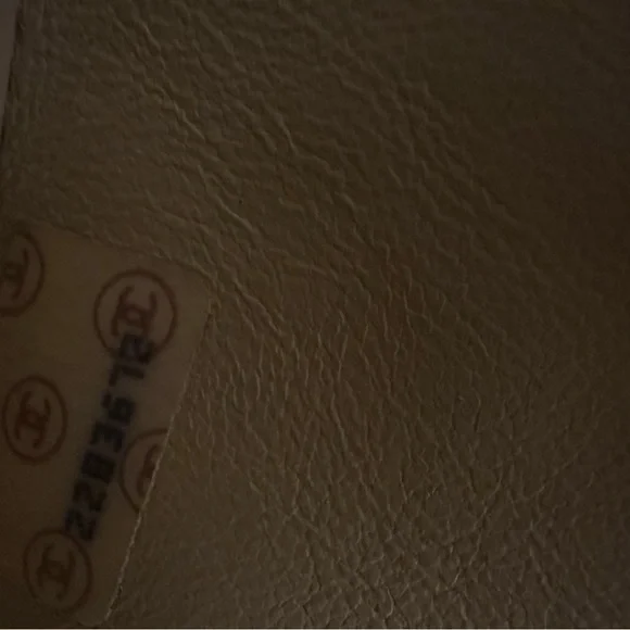 CHANEL Small Diana Beige Shoulder Bag - Picture 11 of 12